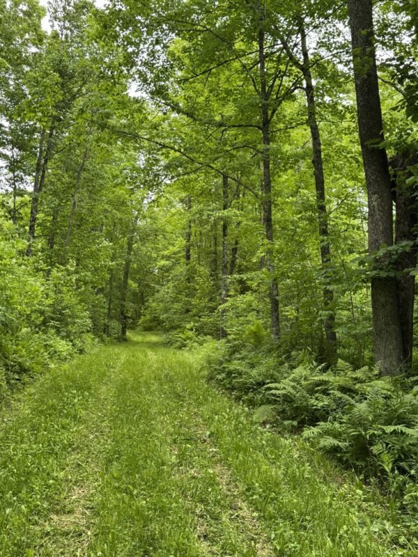 75134 West Road, Butternut WI 54514 - Land house for sale - MLS #1603092 - image14