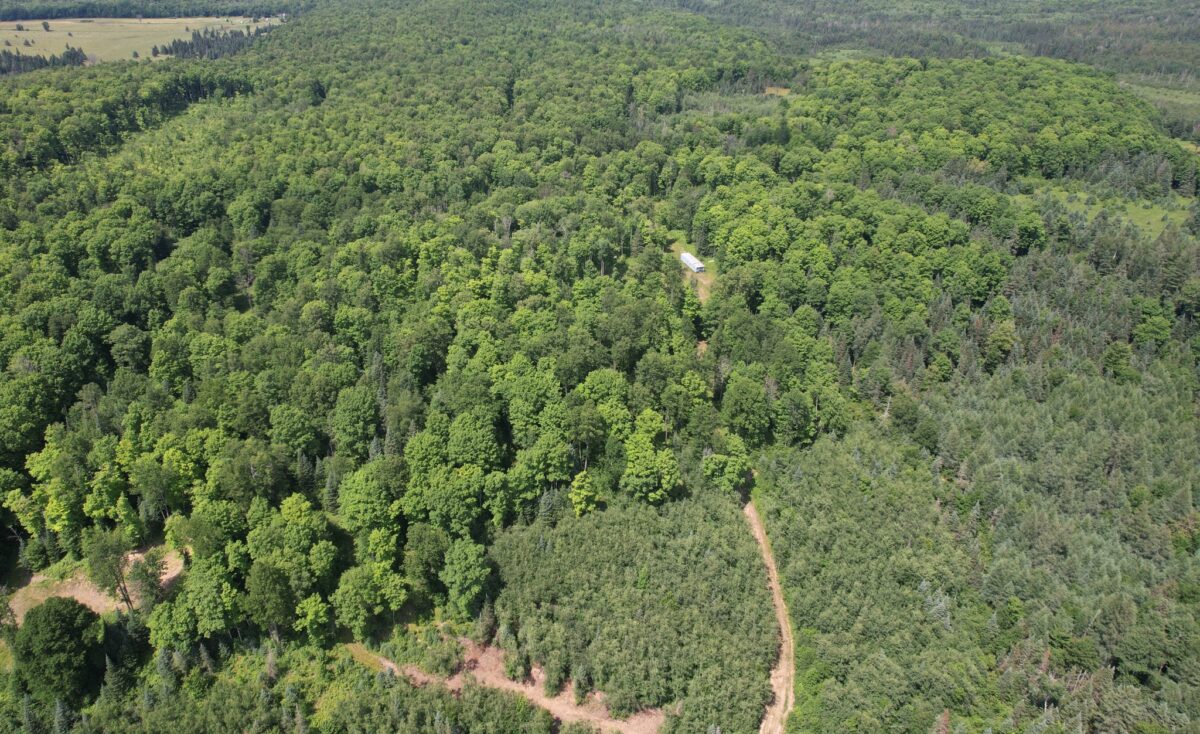 75134 West Road, Butternut WI 54514 - Land house for sale - MLS #1603092 - image15
