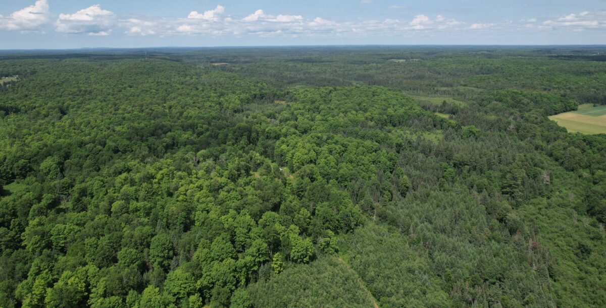 75134 West Road, Butternut WI 54514 - Land house for sale - MLS #1603092 - image16