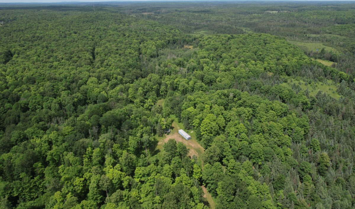 75134 West Road, Butternut WI 54514 - Land house for sale - MLS #1603092 - image18