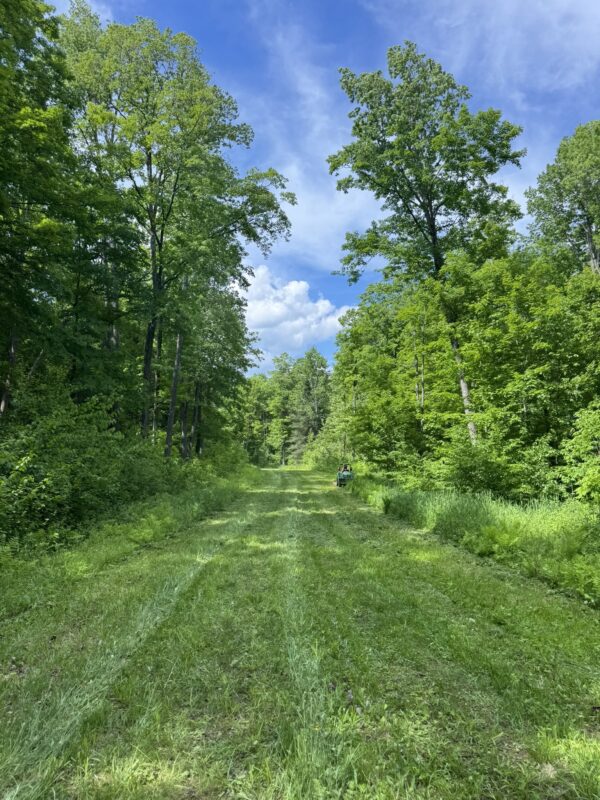 75134 West Road, Butternut WI 54514 - Land house for sale - MLS #1603092 - image3