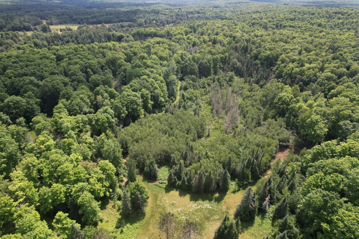 75134 West Road, Butternut WI 54514 - Land house for sale - MLS #1603092 - image21