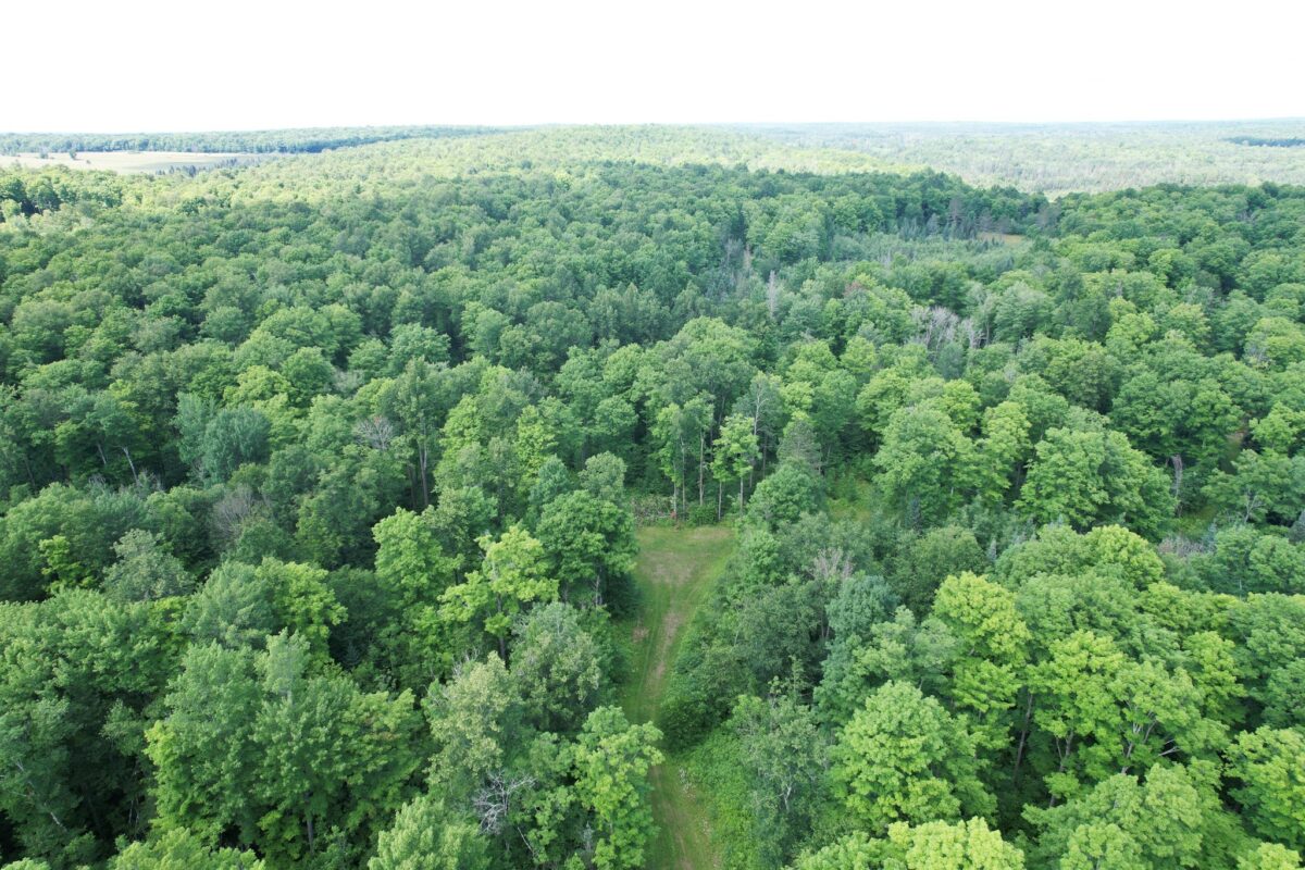 75134 West Road, Butternut WI 54514 - Land house for sale - MLS #1603092 - image22