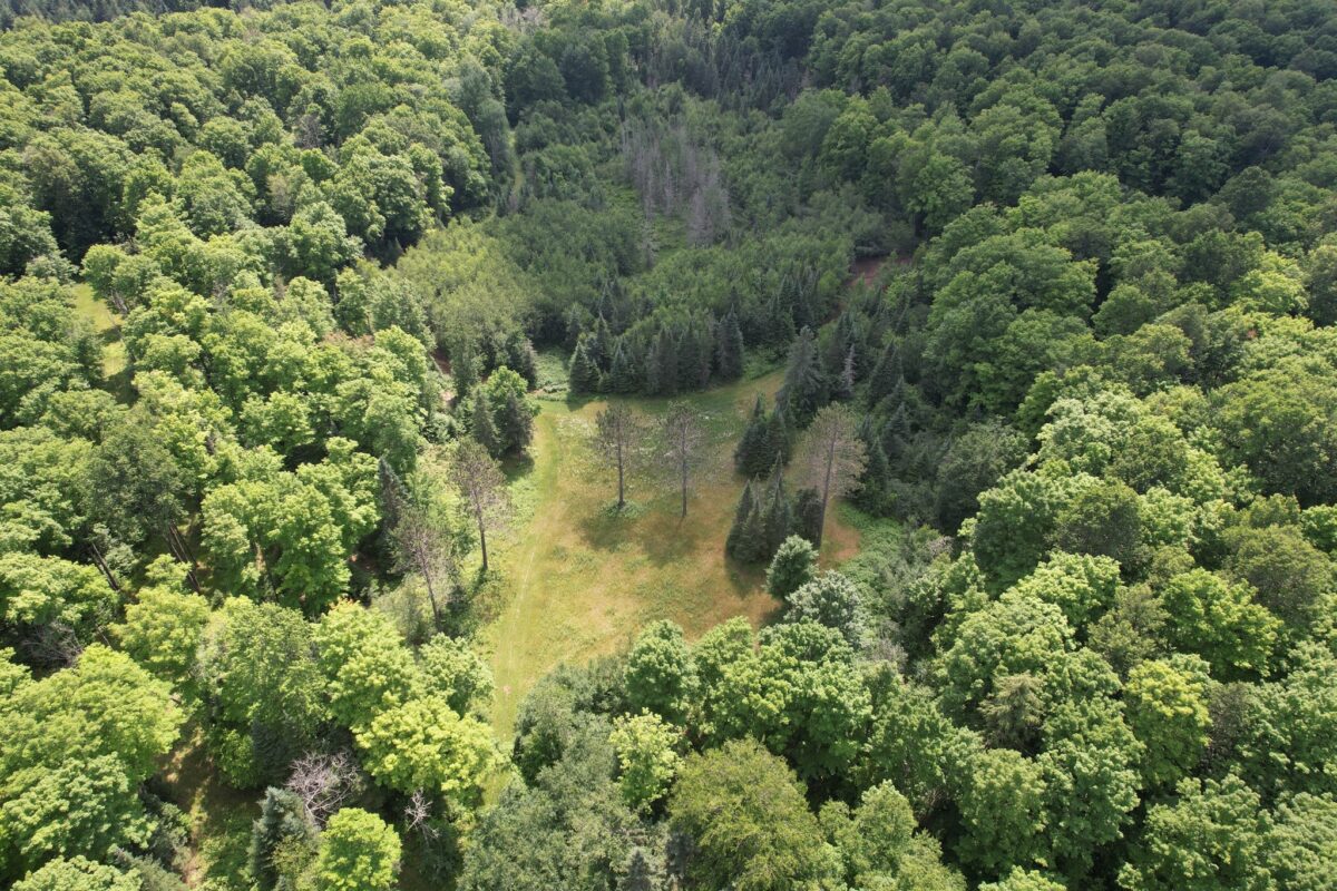 75134 West Road, Butternut WI 54514 - Land house for sale - MLS #1603092 - image25
