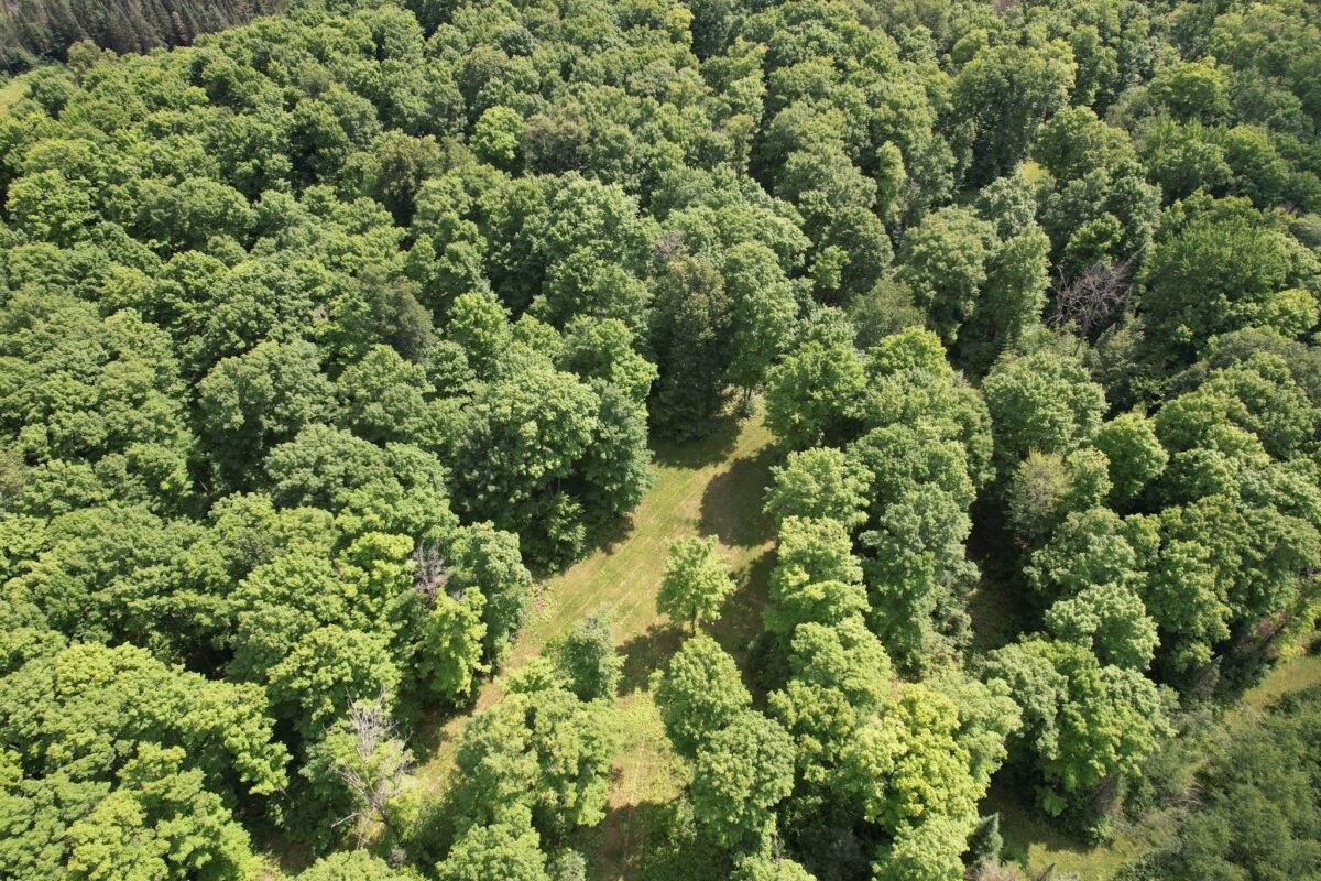 75134 West Road, Butternut WI 54514 - Land house for sale - MLS #1603092 - image26