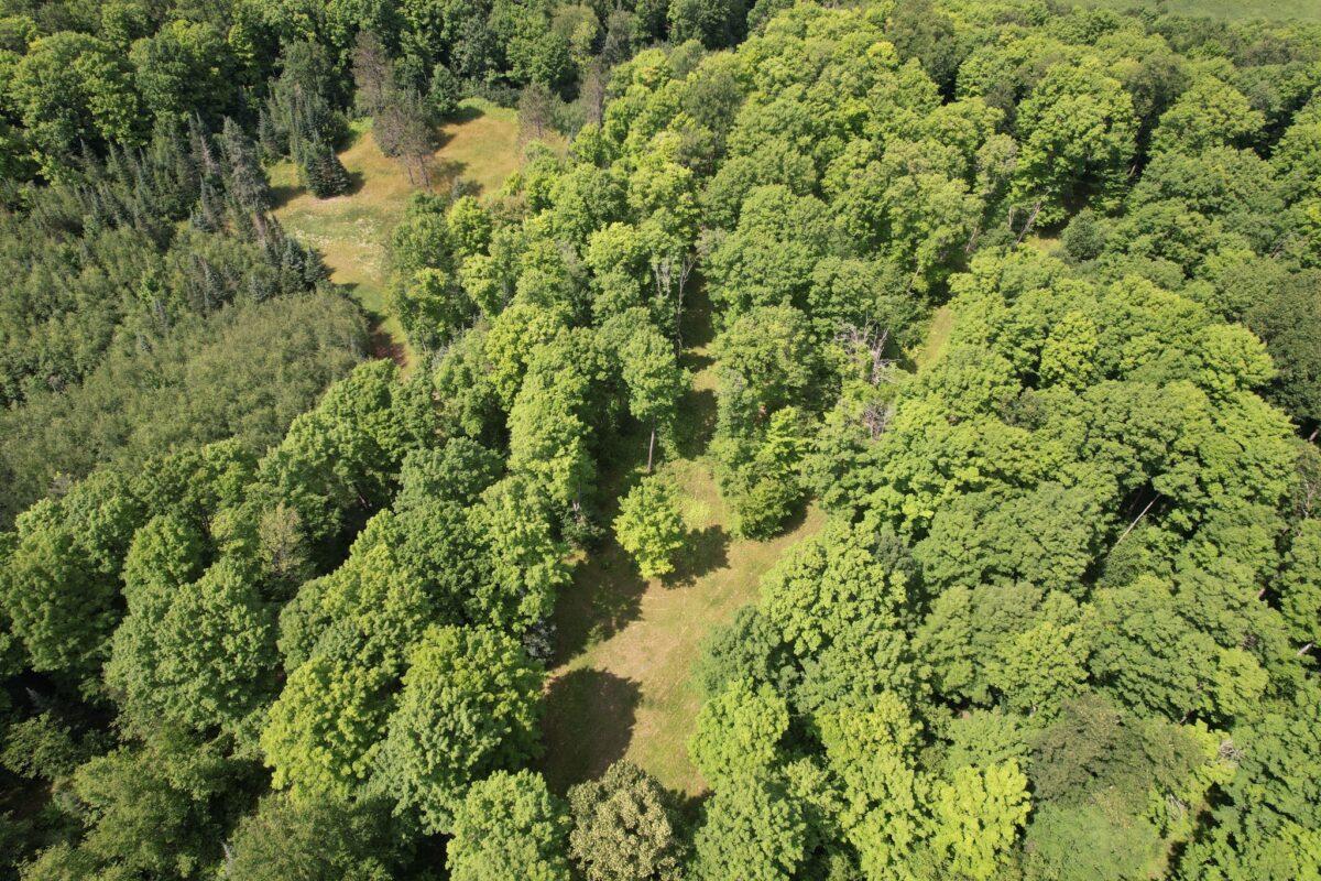 75134 West Road, Butternut WI 54514 - Land house for sale - MLS #1603092 - image27