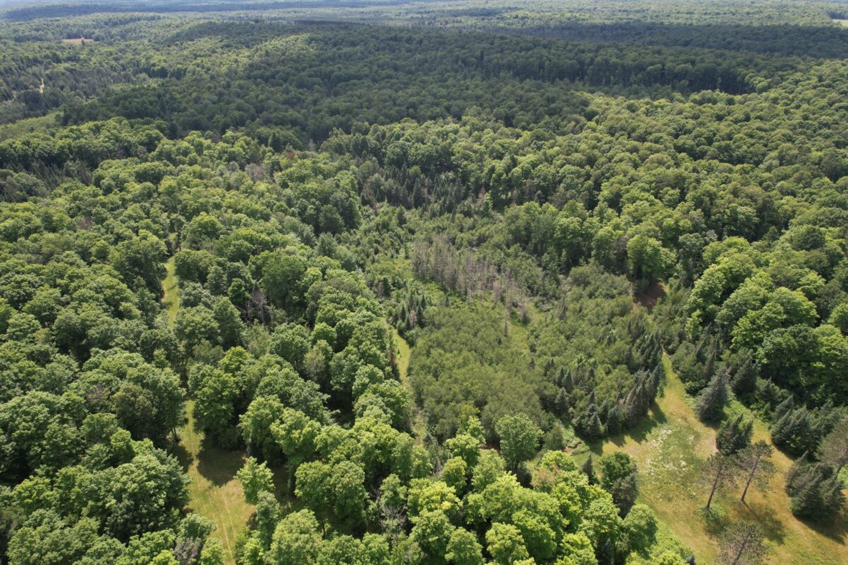 75134 West Road, Butternut WI 54514 - Land house for sale - MLS #1603092 - image28