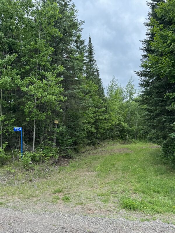 75134 West Road, Butternut WI 54514 - Land house for sale - MLS #1603092 - image4