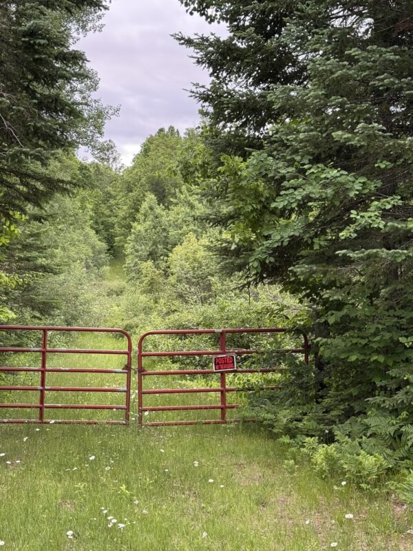 75134 West Road, Butternut WI 54514 - Land house for sale - MLS #1603092 - image5