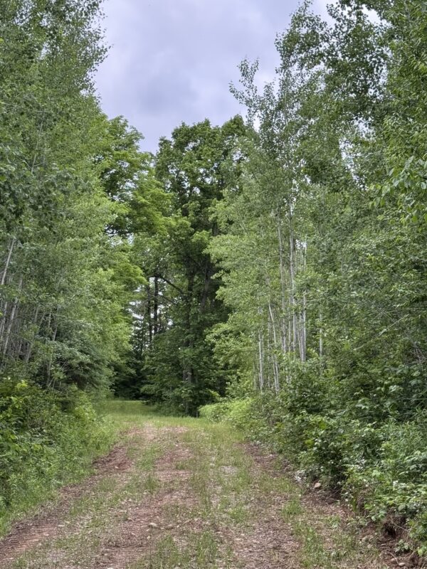75134 West Road, Butternut WI 54514 - Land house for sale - MLS #1603092 - image6