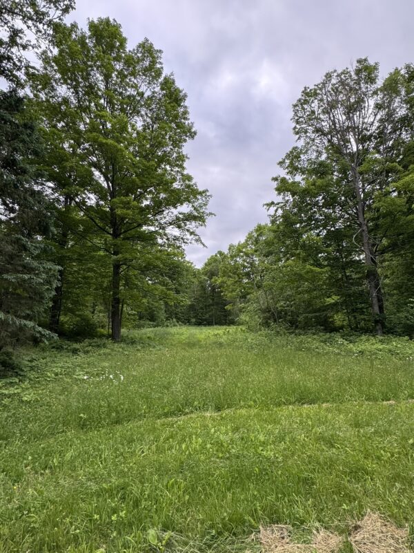75134 West Road, Butternut WI 54514 - Land house for sale - MLS #1603092 - image10