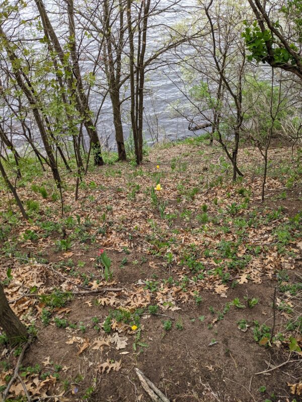 7646 196th Street, Chippewa Falls WI 54729 - Land house for sale - MLS #1599333 - image16