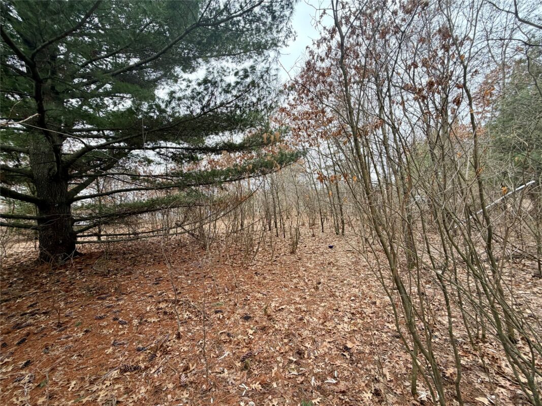 7646 196th Street, Chippewa Falls WI 54729 - Land house for sale - MLS #1599333 - image3