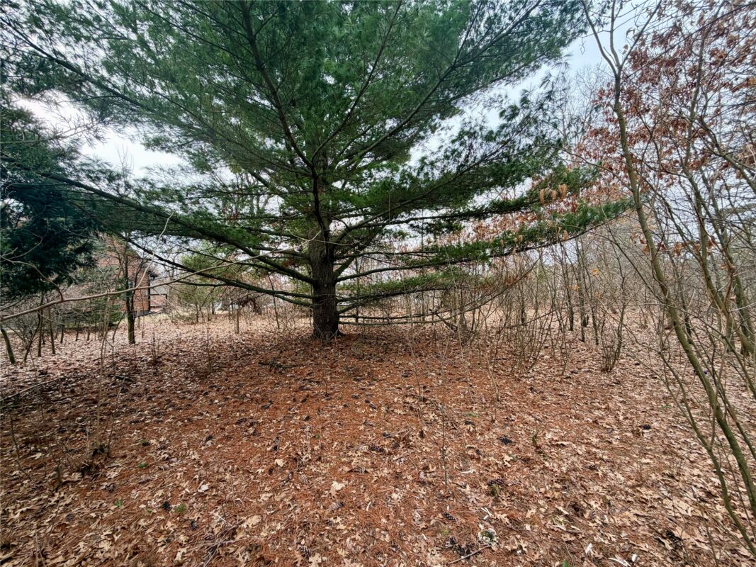 7646 196th Street, Chippewa Falls WI 54729 - Land house for sale - MLS #1599333 - image4