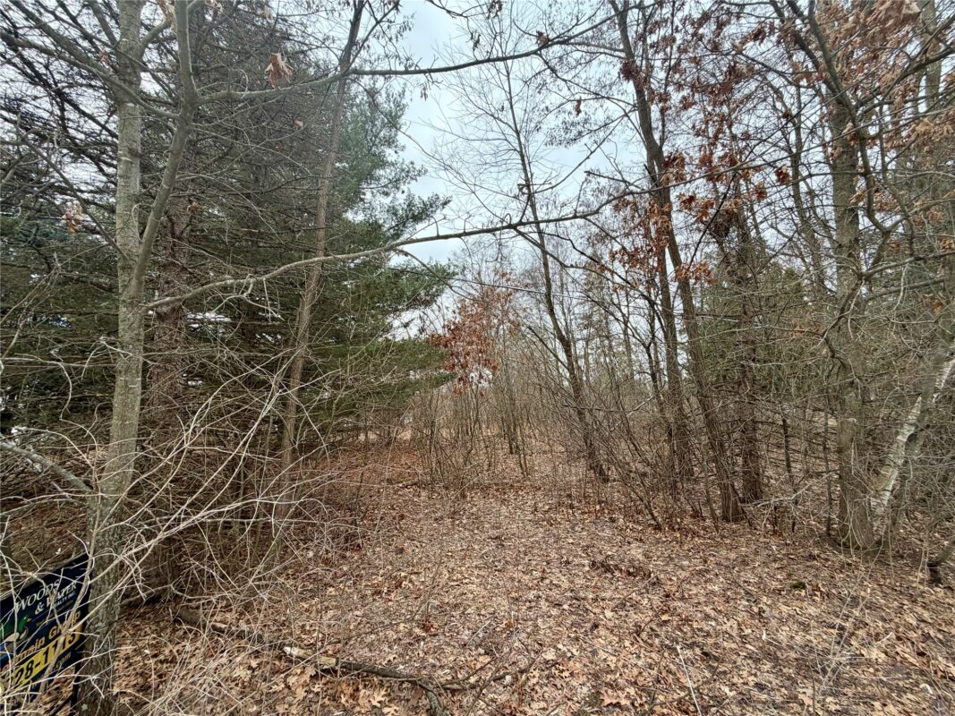 7646 196th Street, Chippewa Falls WI 54729 - Land house for sale - MLS #1599333 - image7