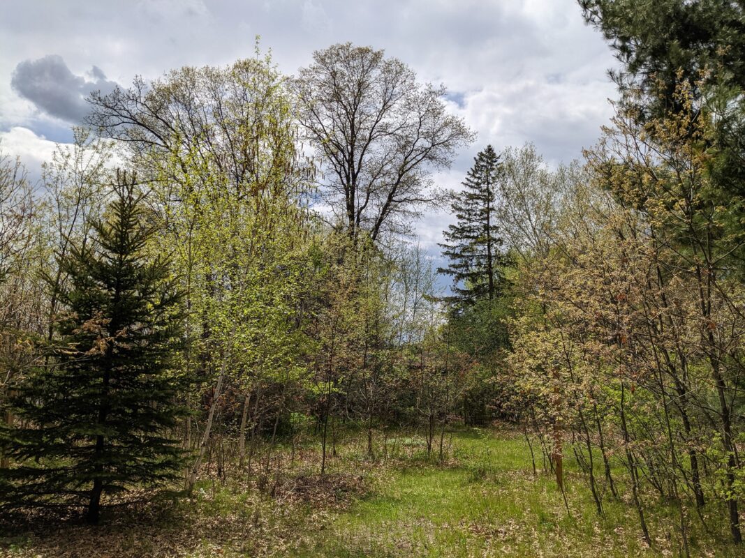 7646 196th Street, Chippewa Falls WI 54729 - Land house for sale - MLS #1599333 - image8