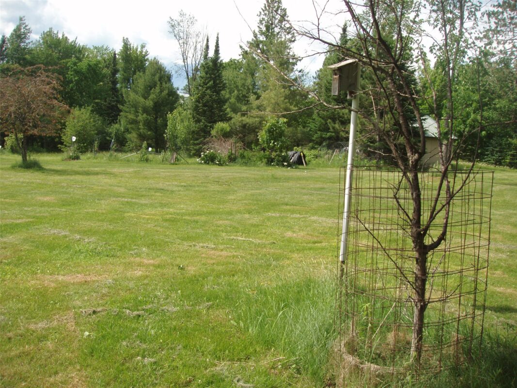 80521 Bear Lake Road, Butternut WI 54514 - Land house for sale - MLS #1603003 - image2