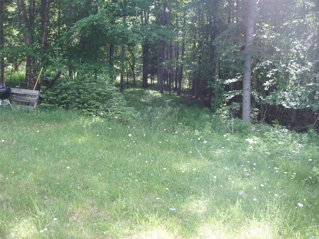 80521 Bear Lake Road, Butternut WI 54514 - Land house for sale - MLS #1603003 - image15