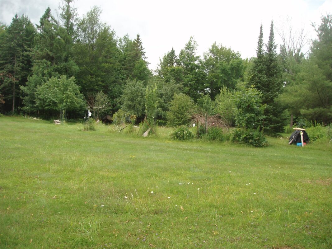 80521 Bear Lake Road, Butternut WI 54514 - Land house for sale - MLS #1603003 - image6