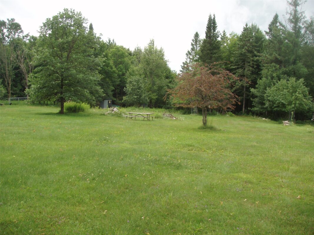 80521 Bear Lake Road, Butternut WI 54514 - Land house for sale - MLS #1603003 - image7