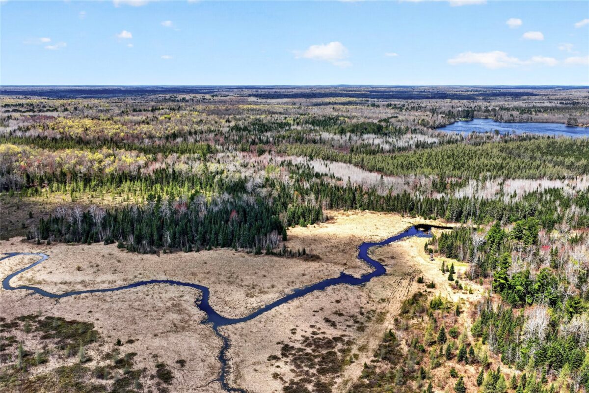 8225 Blaisdell Lake Road, Winter WI 54896 - Residential house for sale - MLS #1600757 - image5
