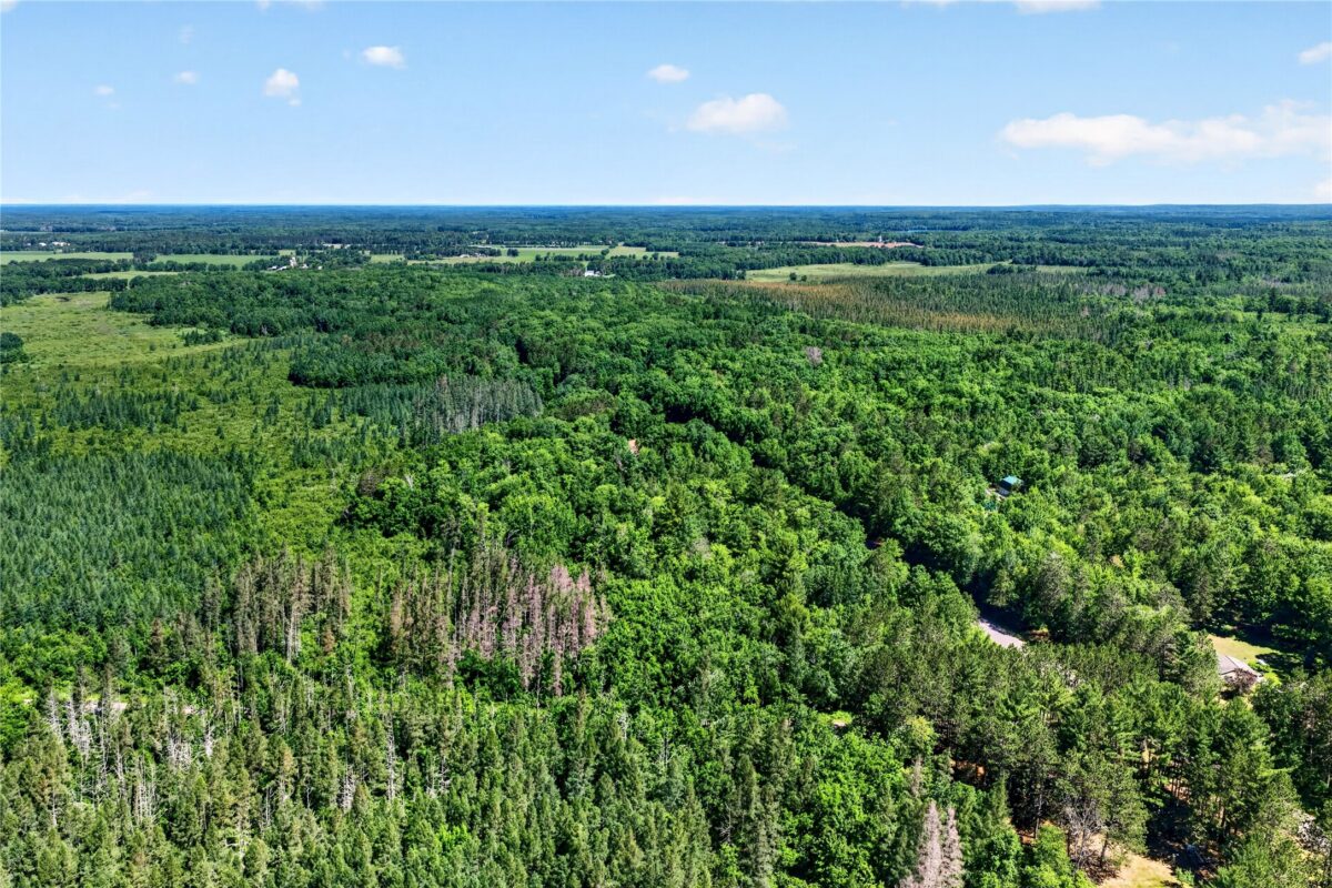 8.92 Acres Little Valley Road, Spooner WI 54801 - Land house for sale - MLS #1602426 - image14
