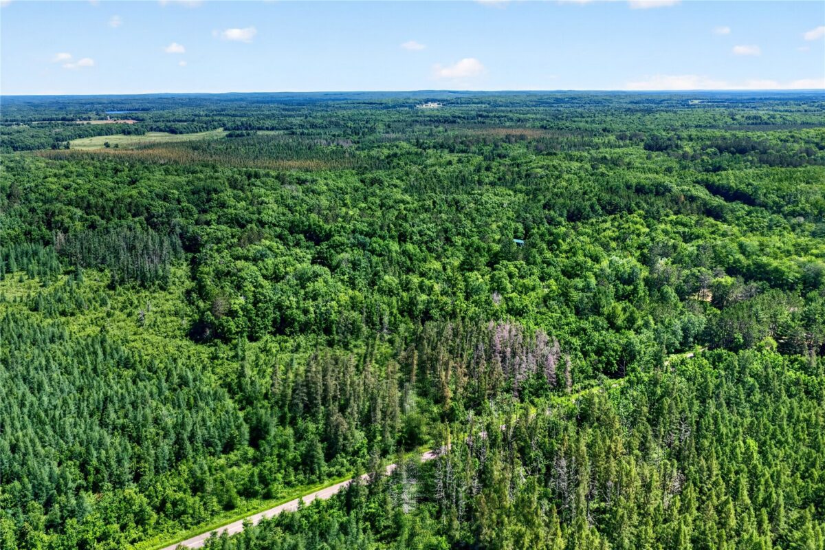 8.92 Acres Little Valley Road, Spooner WI 54801 - Land house for sale - MLS #1602426 - image15