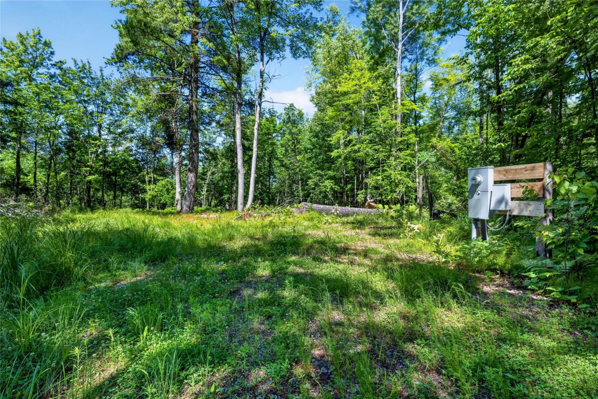 8.92 Acres Little Valley Road, Spooner WI 54801 - Land house for sale - MLS #1602426 - image6