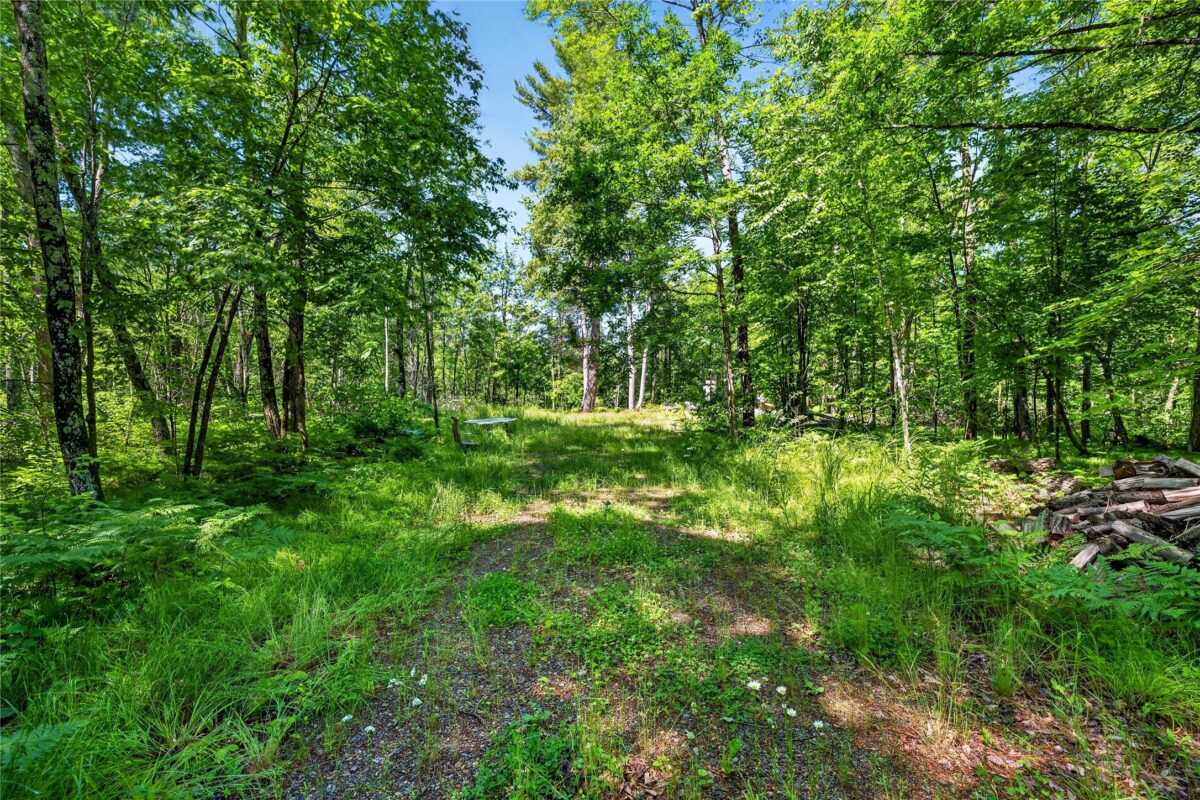 8.92 Acres Little Valley Road, Spooner WI 54801 - Land house for sale - MLS #1602426 - image7