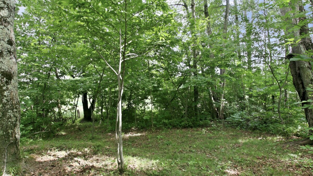 9105W Irvine Drive, Ojibwa WI 54862 - Residential house for sale - MLS #1602736 - image42