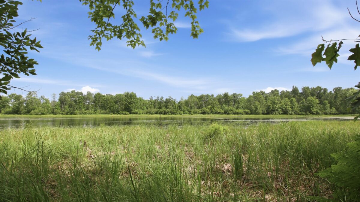 9105W Irvine Drive, Ojibwa WI 54862 - Residential house for sale - MLS #1602736 - image43