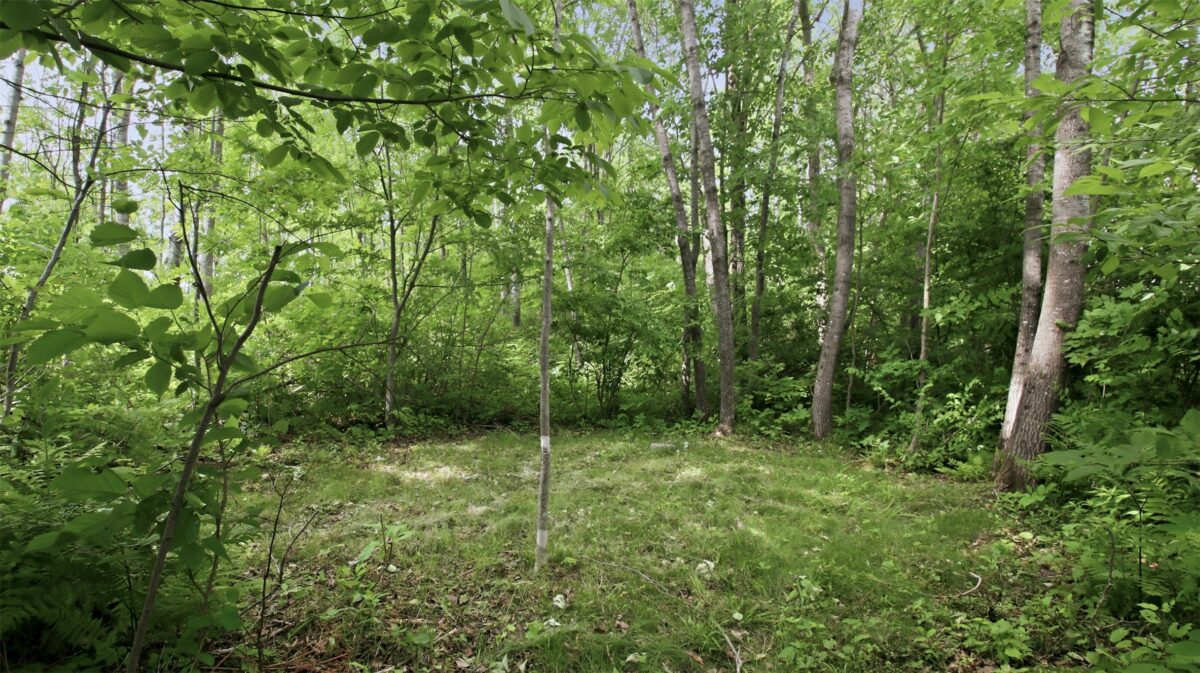 9105W Irvine Drive, Ojibwa WI 54862 - Residential house for sale - MLS #1602736 - image44