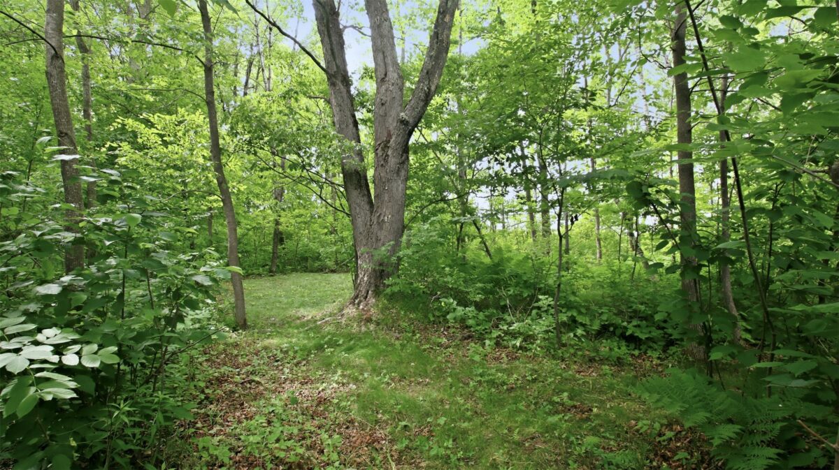 9105W Irvine Drive, Ojibwa WI 54862 - Residential house for sale - MLS #1602736 - image46