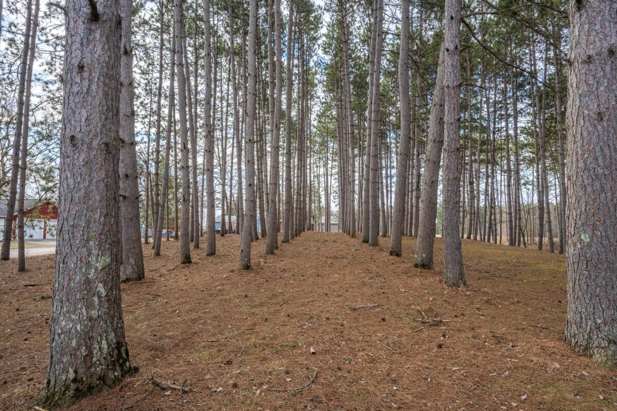 917 Sunrise Beach Drive, Amery WI 54001 - Residential house for sale - MLS #1599478 - image38
