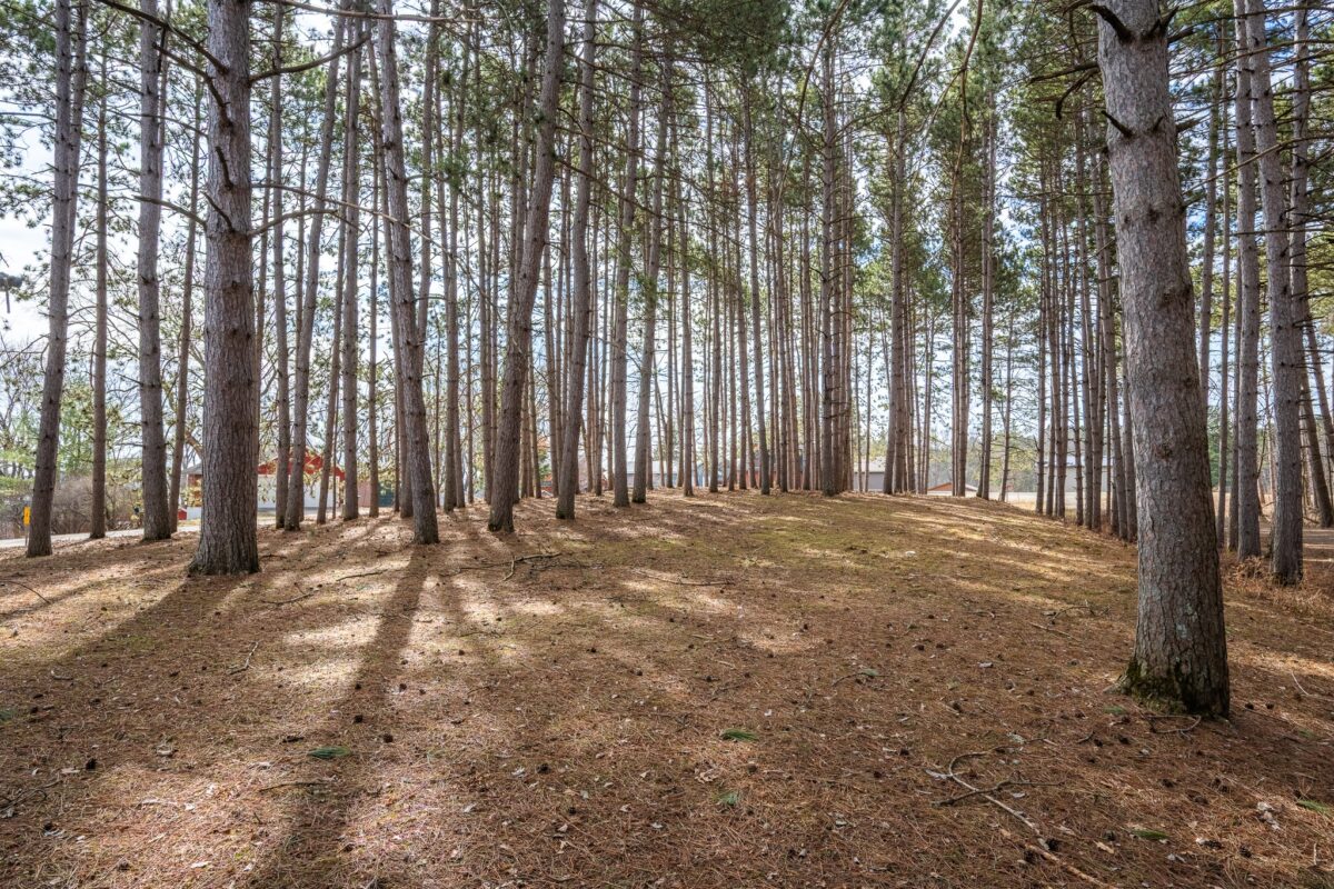 917 Sunrise Beach Drive, Amery WI 54001 - Residential house for sale - MLS #1599478 - image39