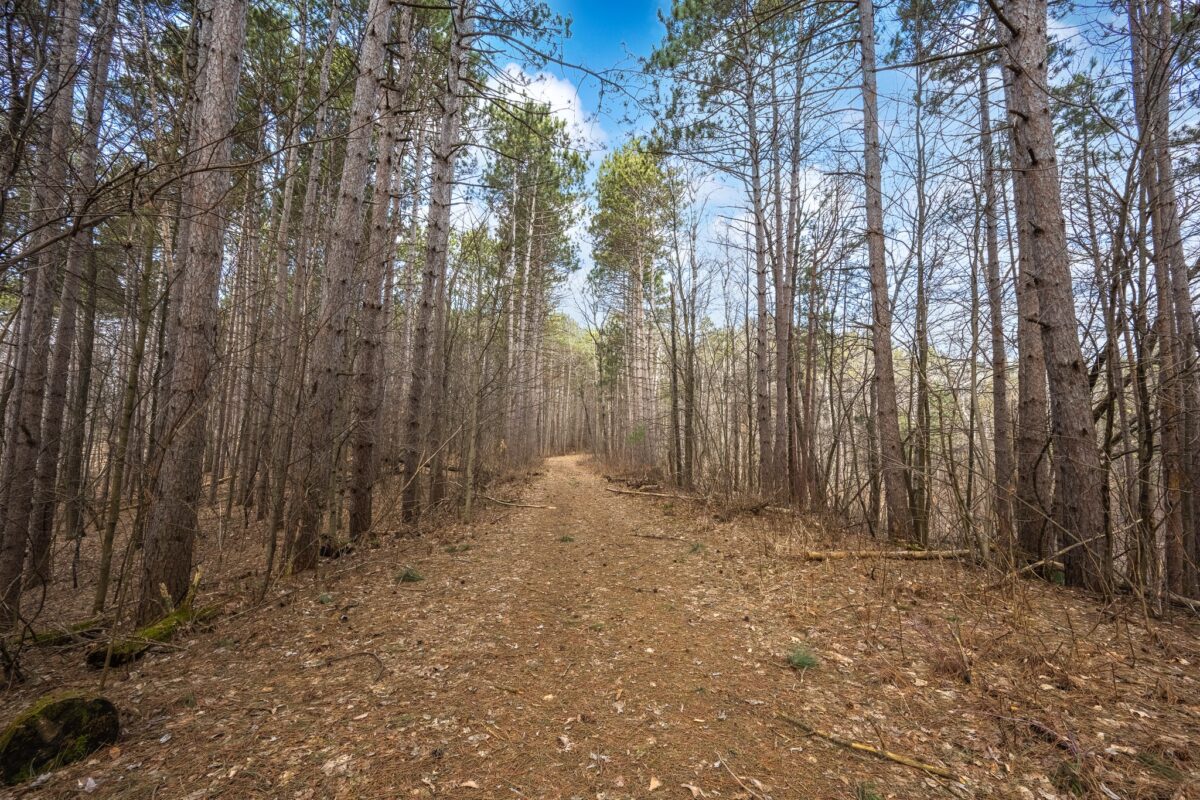 917 Sunrise Beach Drive, Amery WI 54001 - Residential house for sale - MLS #1599478 - image41