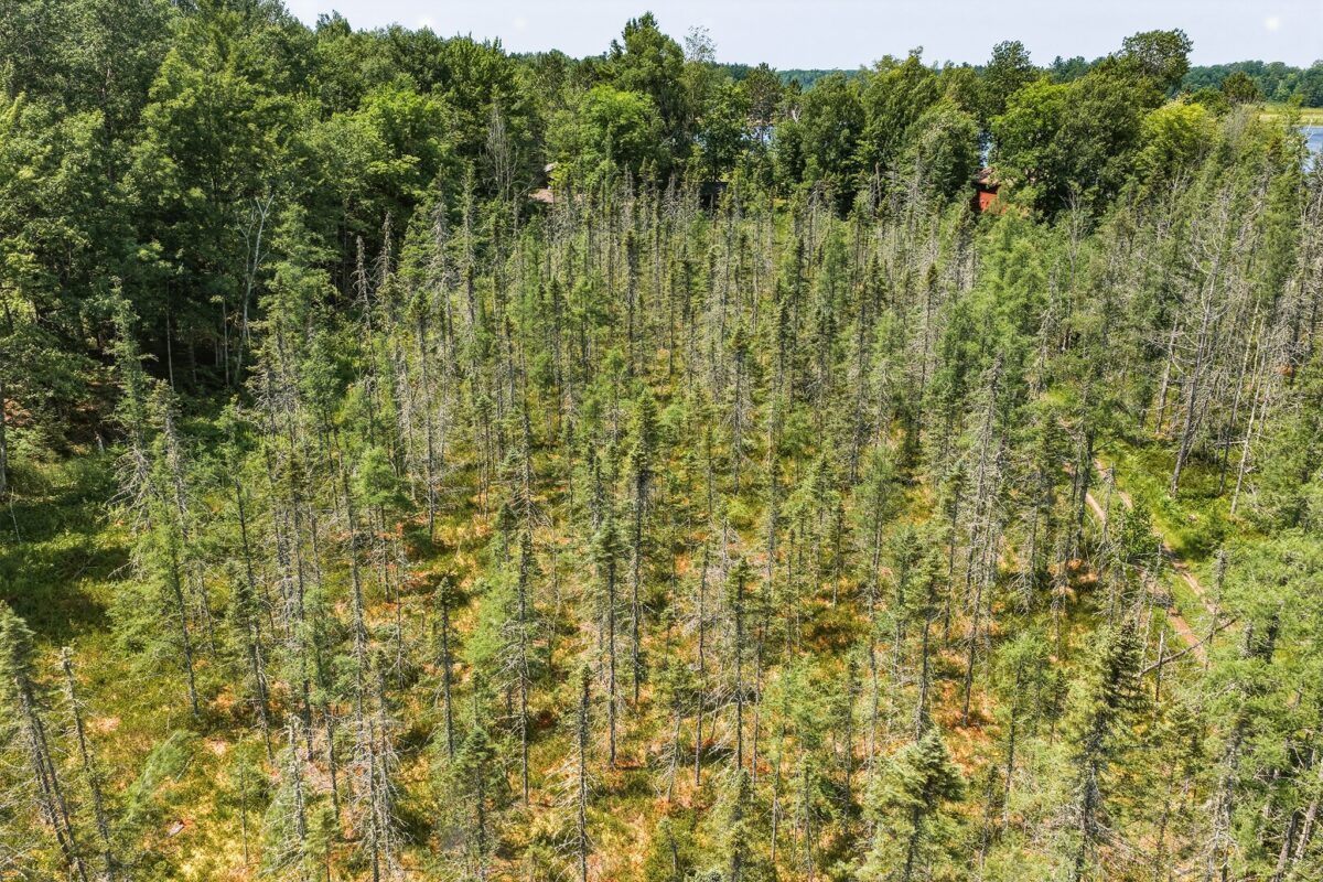 9292 Duncan Point Road, Hayward WI 54843 - Land house for sale - MLS #1602848 - image16
