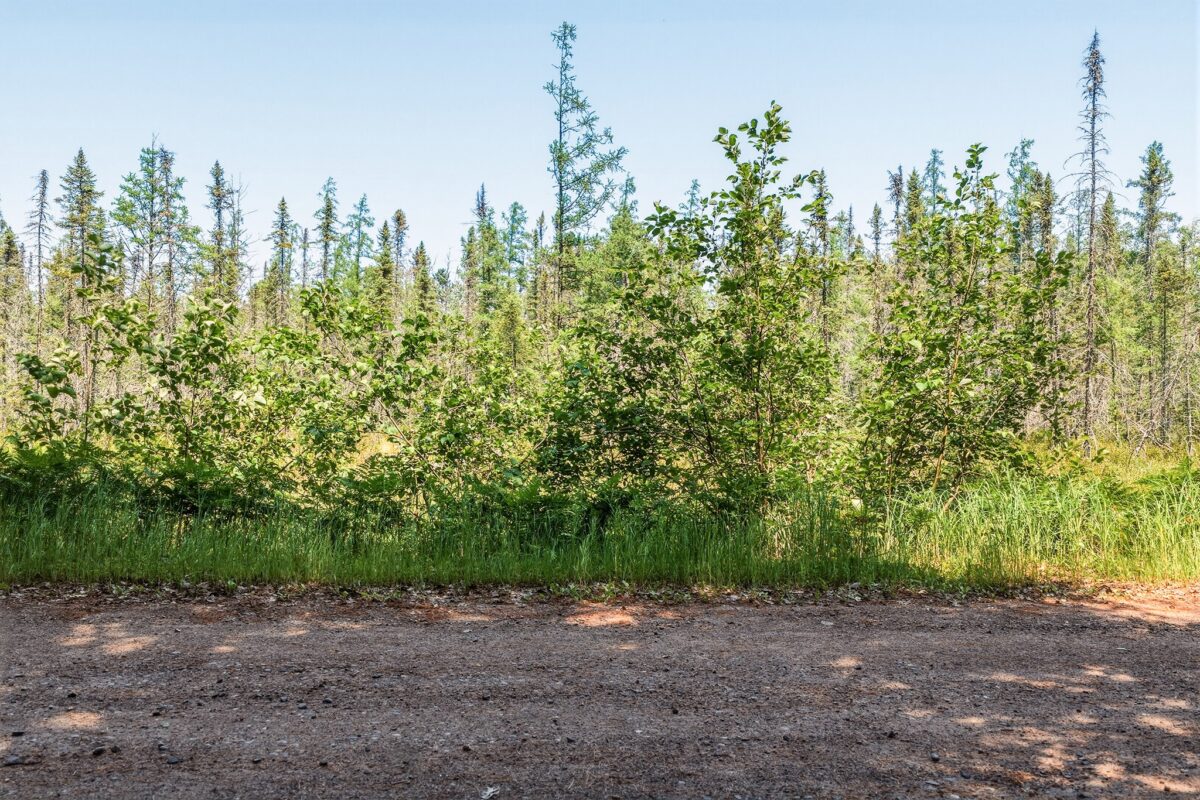 9292 Duncan Point Road, Hayward WI 54843 - Land house for sale - MLS #1602848 - image25