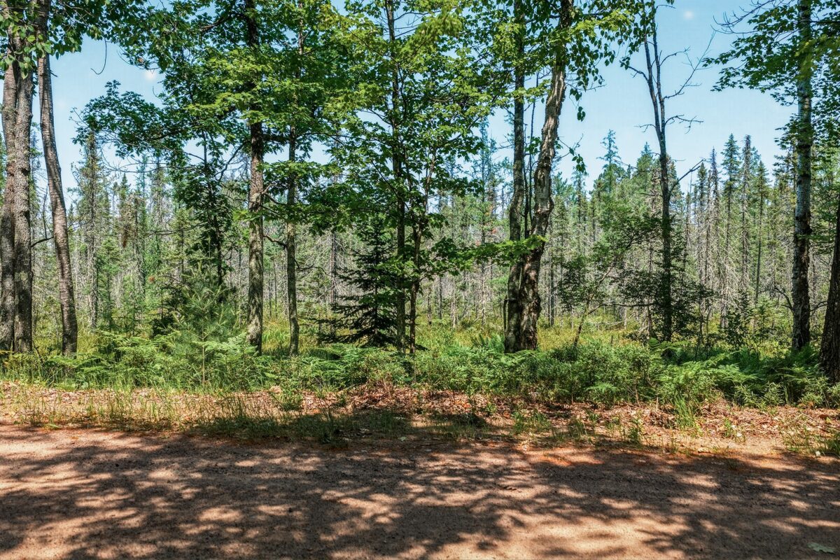 9292 Duncan Point Road, Hayward WI 54843 - Land house for sale - MLS #1602848 - image27