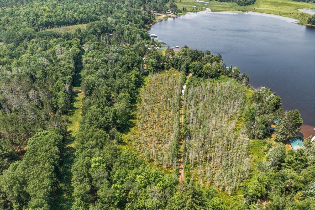 9292 Duncan Point Road, Hayward WI 54843 - Land house for sale - MLS #1602848 - image6