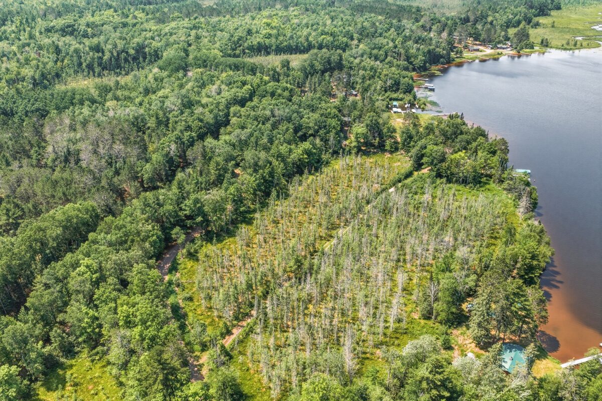 9292 Duncan Point Road, Hayward WI 54843 - Land house for sale - MLS #1602848 - image7