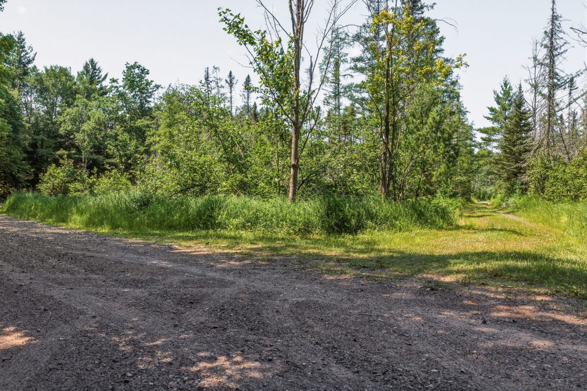 9292 Duncan Point Rd Road, Hayward WI 54843 - Land house for sale - MLS #1602848 - image3