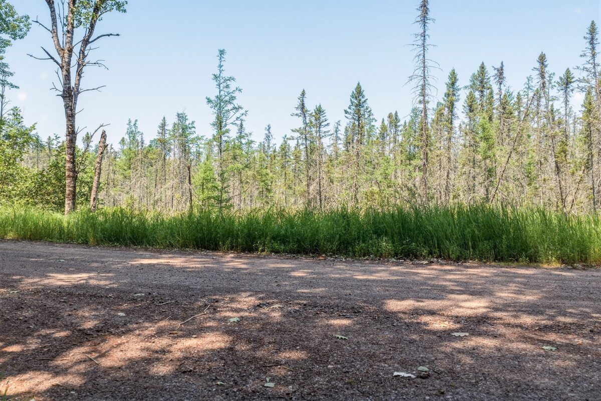 9292 Duncan Point Rd Road, Hayward WI 54843 - Land house for sale - MLS #1602848 - image22