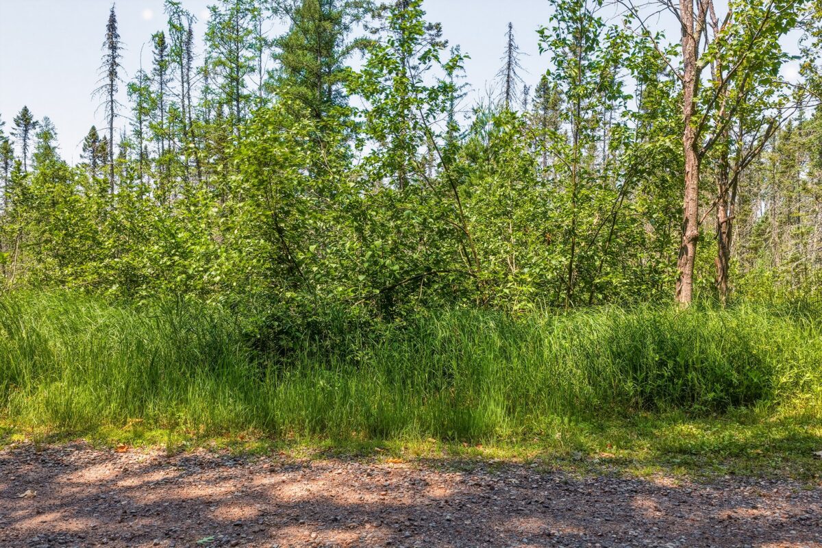 9292 Duncan Point Rd Road, Hayward WI 54843 - Land house for sale - MLS #1602848 - image5