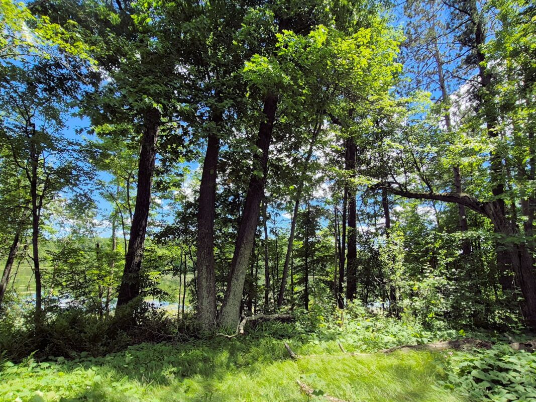9341 Nyberg Road, Hayward WI 54843 - Residential house for sale - MLS #1602291 - image12
