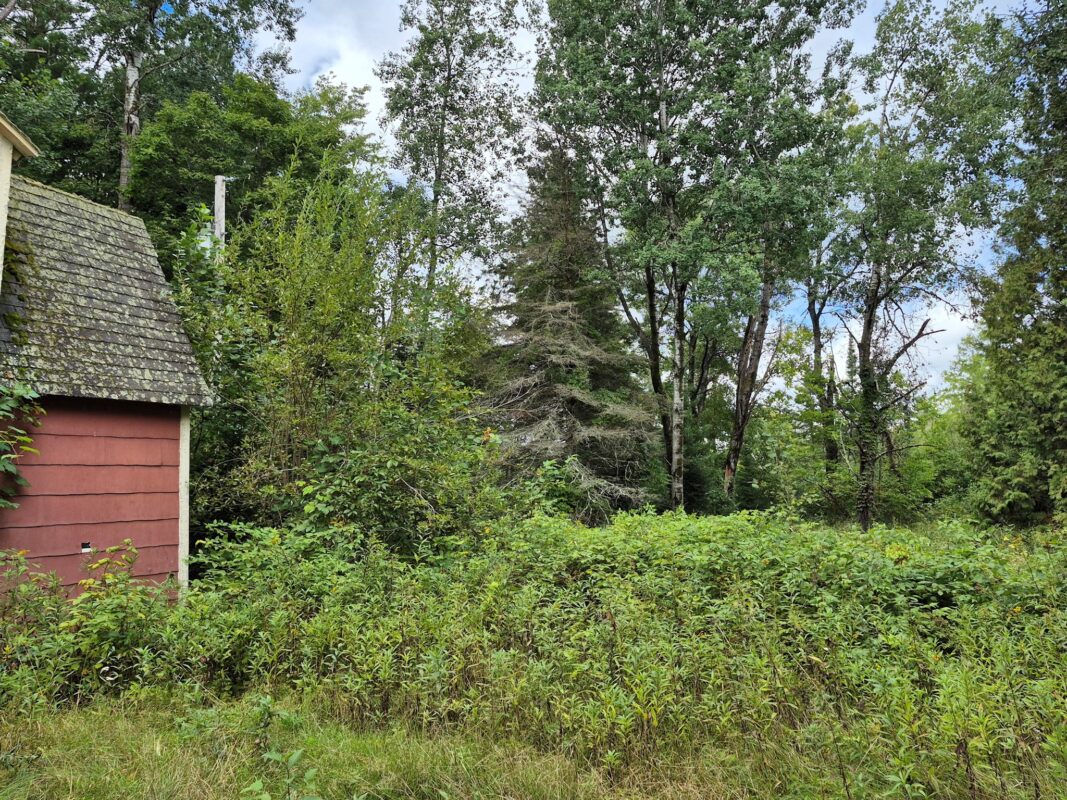 9341 Nyberg Road, Hayward WI 54843 - Residential house for sale - MLS #1602291 - image25