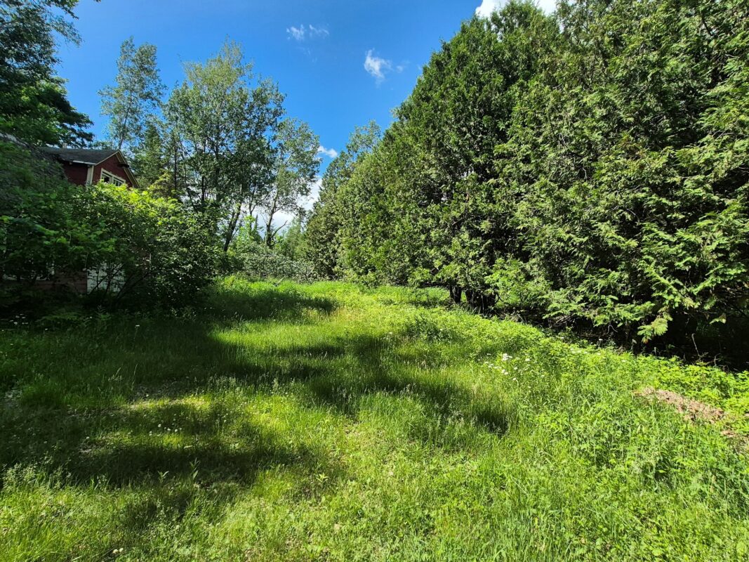 9341 Nyberg Road, Hayward WI 54843 - Residential house for sale - MLS #1602291 - image28