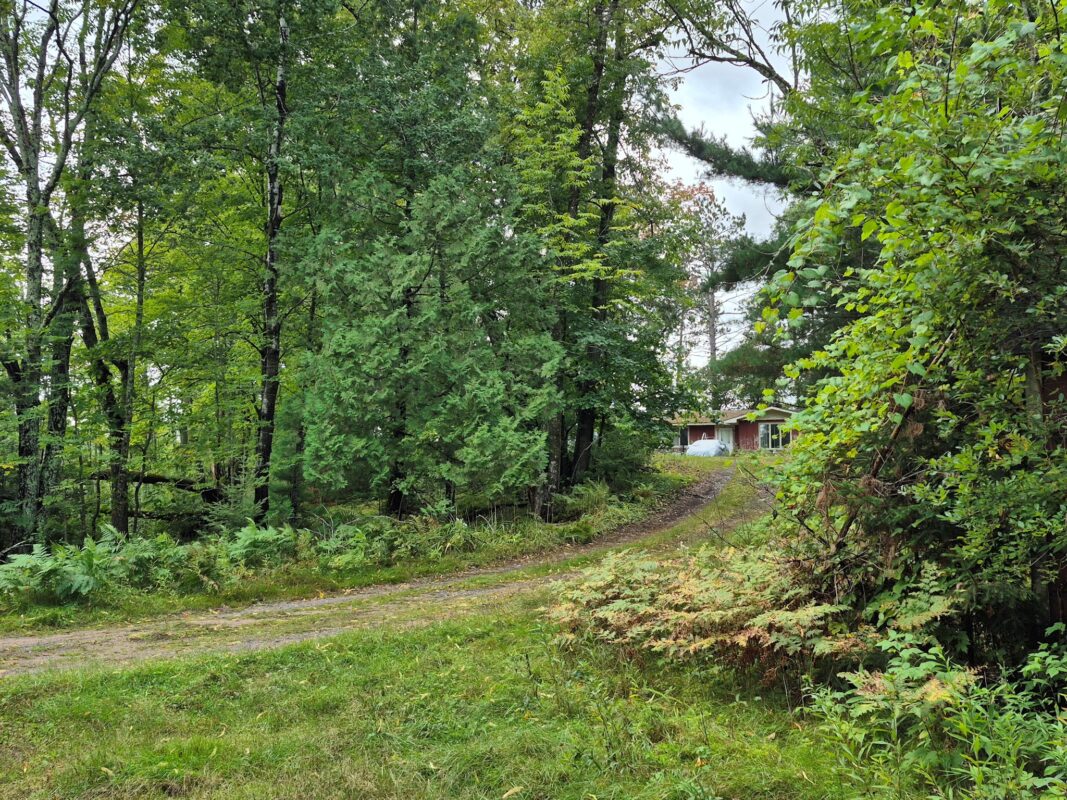 9341 Nyberg Road, Hayward WI 54843 - Residential house for sale - MLS #1602291 - image29