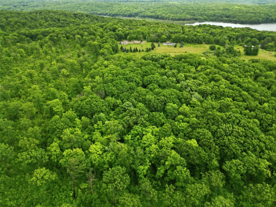 995N Zettel Road, Exeland WI 54835 - Residential house for sale - MLS #1602462 - image18