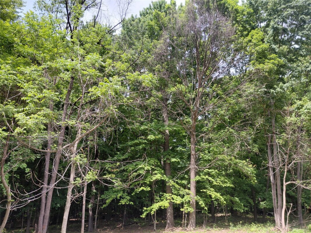 E5329 1370 Avenue, Ridgeland WI 54763 - Residential house for sale - MLS #1602398 - image11